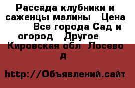 Рассада клубники и саженцы малины › Цена ­ 10 - Все города Сад и огород » Другое   . Кировская обл.,Лосево д.
